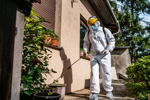 Best Best Pest Control Near Me  in Enid, OK