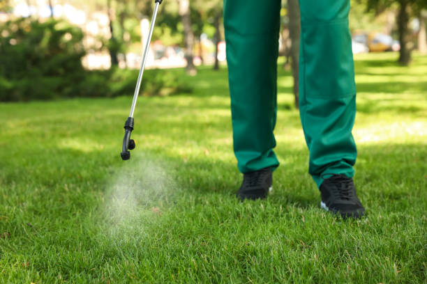 Trusted Enid, OK Pest Control Experts