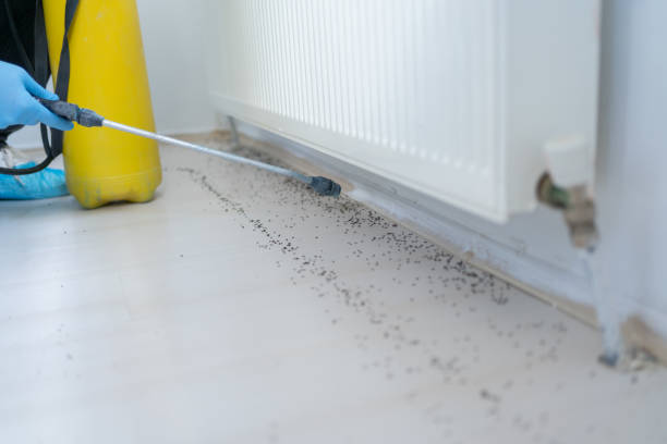Best Commercial Pest Control Services  in Enid, OK