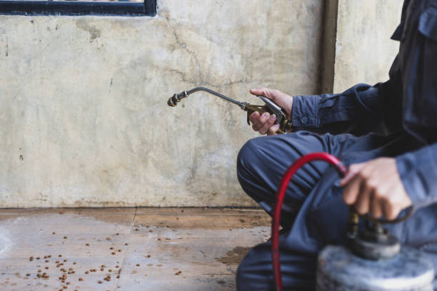 Best Affordable Pest Control Services  in Enid, OK